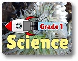 Science Gr 01